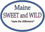 MSW Logo